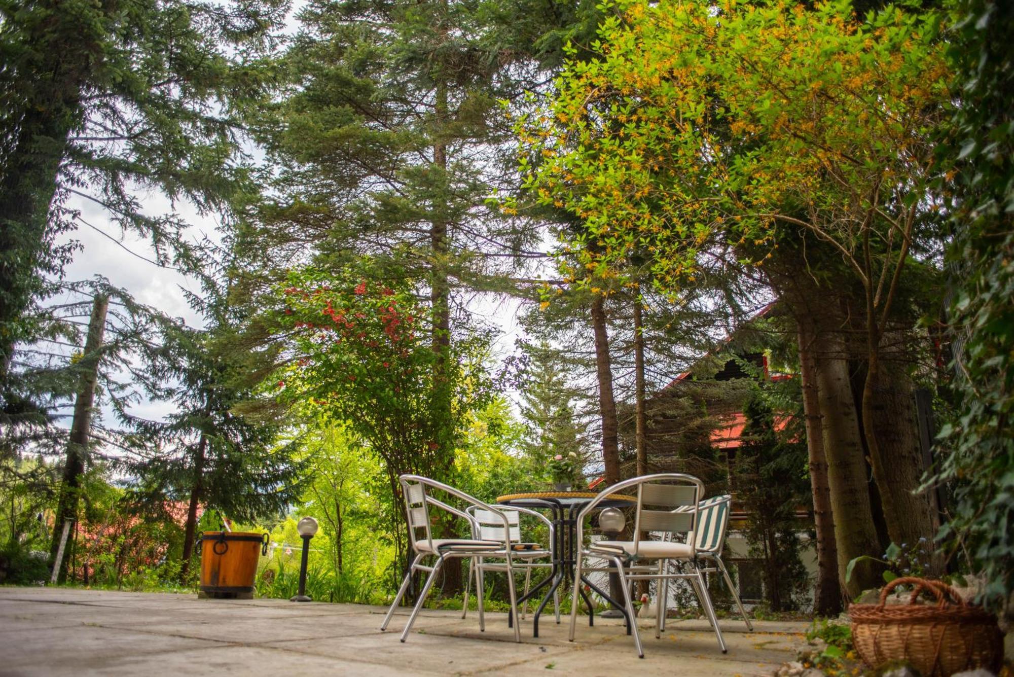 Villa Sara In Sinaia Near Peles & Gondola Eksteriør billede
