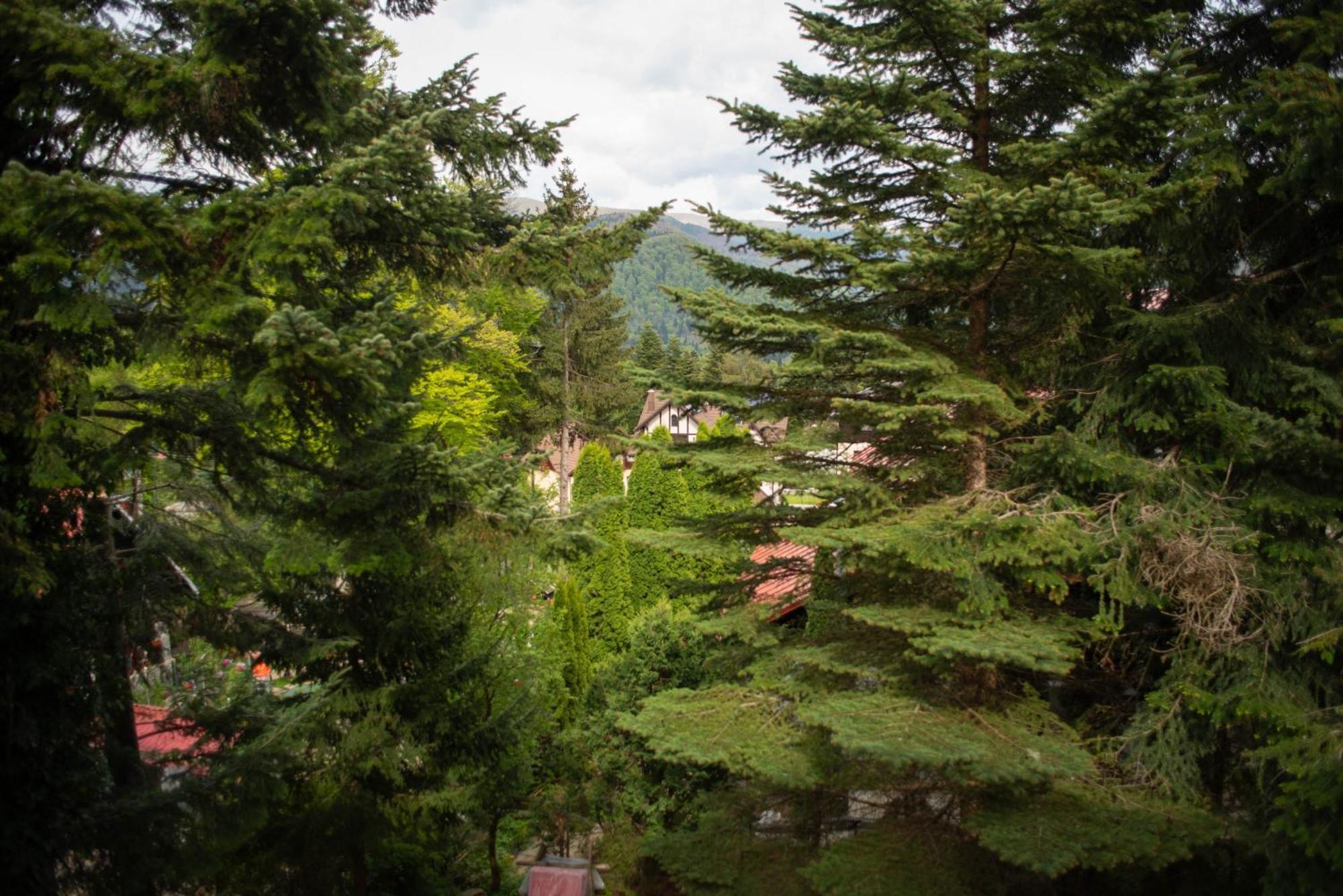 Villa Sara In Sinaia Near Peles & Gondola Eksteriør billede